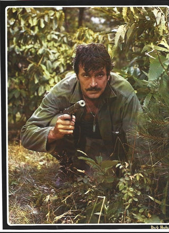 LAMINA 36795: Rock Hudson