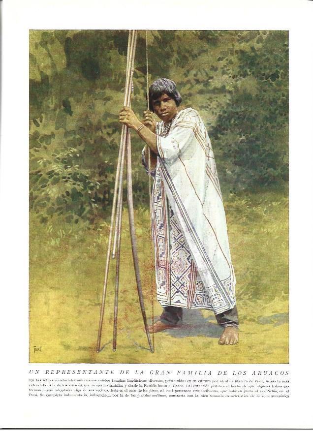 LAMINA 36560: Joven de la familia de los Aruacos