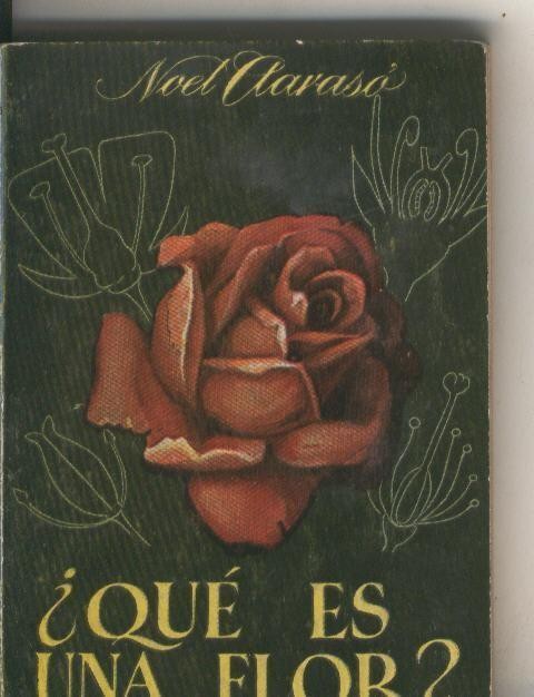 Enciclopedia Pulga numero 014: Que es una flor?