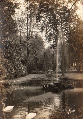POSTAL PV11611: Les cygnes au jardin public, Perpignan