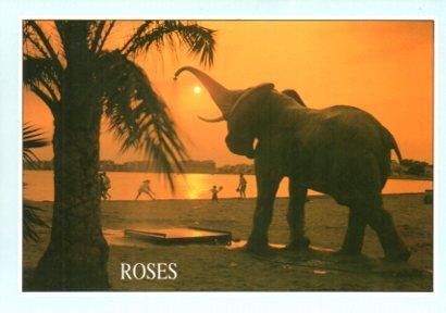 POSTAL PV11628: Capvespre a Roses, Costa Brava