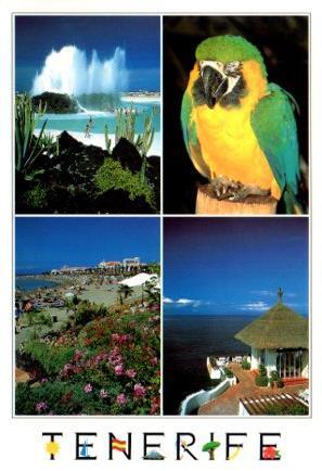 POSTAL PV11903: Lago Martianez, Loro Parque y Playa de las Americas, Tenerife
