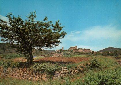 POSTAL PV11753: Vista general de Santa Pau, Gerona