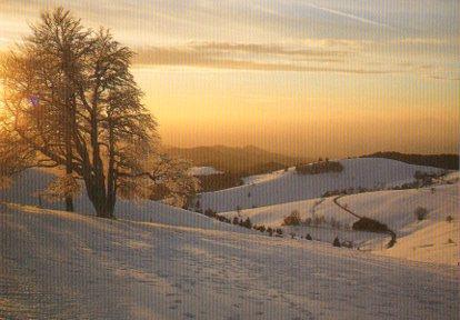 POSTAL PV11775: Abendstimmung auf dem Schauinsland