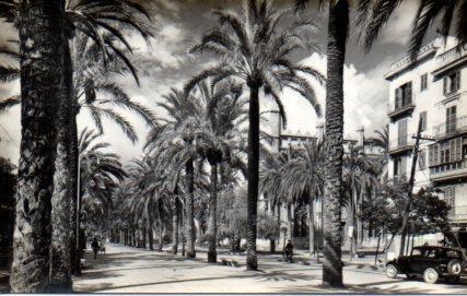 POSTAL PV11224: Paseo de Sagrera, Mallorca