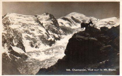 POSTAL PV11231: Chamonix vue sur le Mt. Blanc