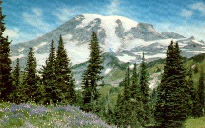 POSTAL PV11235: Mt. Rainer, Washington