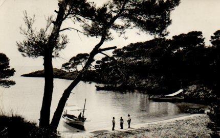 POSTAL PV11214: Playa de las Caletas, Puerto de Pollensa