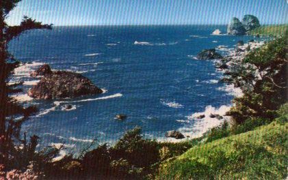 POSTAL PV11242: Rugged Oregon Coast