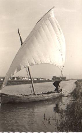 POSTAL PV11271: Canal de la Albufera, Valencia