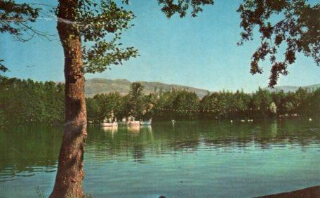 POSTAL PV11272: Puigcerda el lago