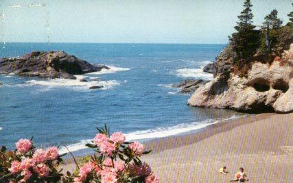 POSTAL PV11248: Pacific Ocean seacoast