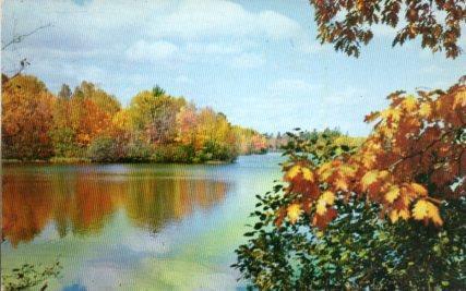 POSTAL PV11257: Woodland Splash, Michigan