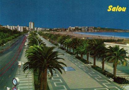 POSTAL PV11404: Paseo nocturno de Salour