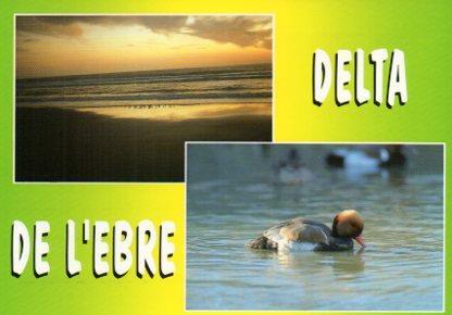 POSTAL PV11411: Delta de l'Ebre, Tarragona