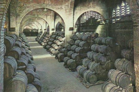 POSTAL PV11304: Cavas Codorniu una bodega