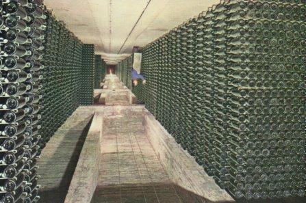 POSTAL PV11310: Cavas Codorniu botellas envejeciendo