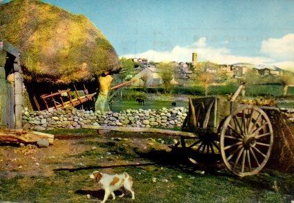 POSTAL PV11347: Vista parcial de Puigcerda