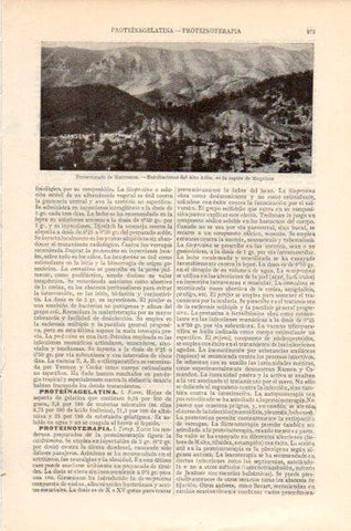 LAMINA V41681: Alto Atlas en la region de Mequinez, Marruecos