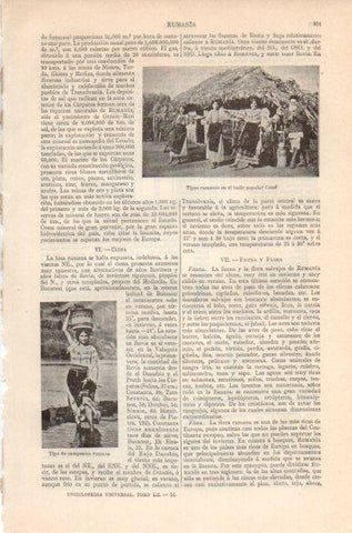 LAMINA V41837: Tipos de Rumania