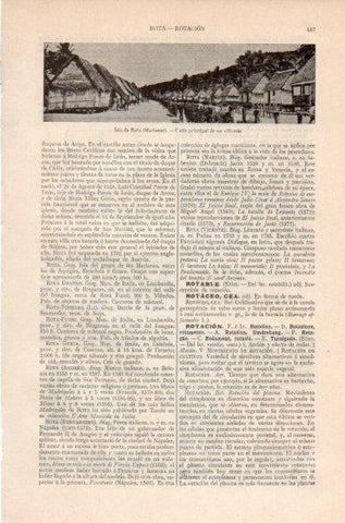 LAMINA V41789: Calle de un villorrio en la Isla de Rota, Marianas
