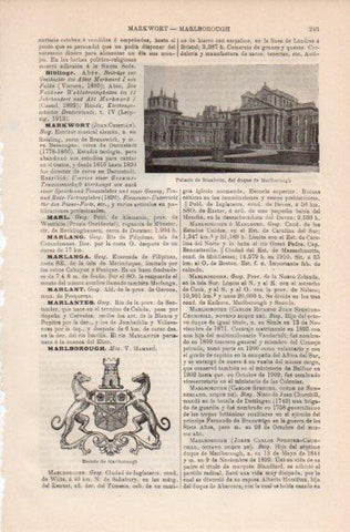 LAMINA V41468: Palacio de Bienheim, Inglaterra
