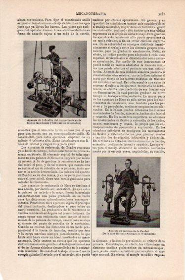 LAMINA V41614: Aparato de resistencia de Zander