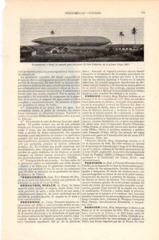 LAMINA V41632: El Graf Zeppelin en Pernambuco en 1931