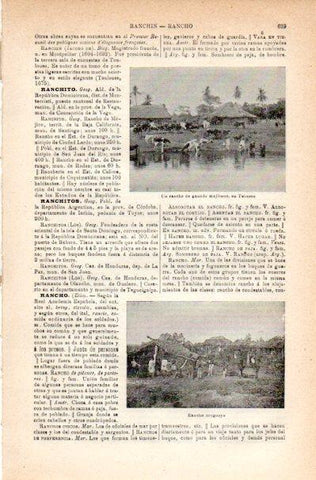 LAMINA V42230: Rancho de ganado en Tabasco