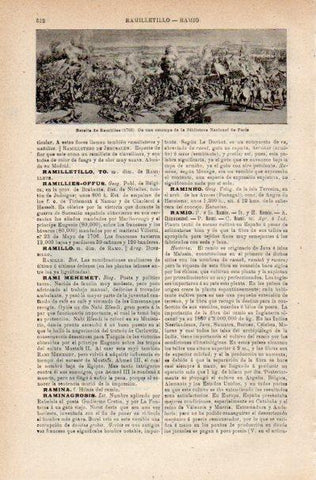 LAMINA V42218: Batalla de Ramillies, Biblioteca Nacional de Paris