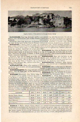 LAMINA V42238: Vista del Kursaal Hotel y Casino en Rapallo, Italia