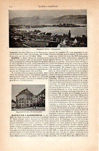 LAMINA V42241: Vista general y ayuntamiento de Rapperawill, Suiza