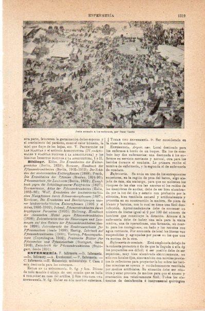 LAMINA V42162: Jesus sanando a los enfermos por O. Laske