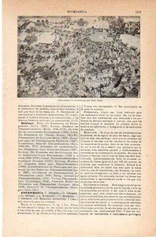 LAMINA V42162: Jesus sanando a los enfermos por O. Laske