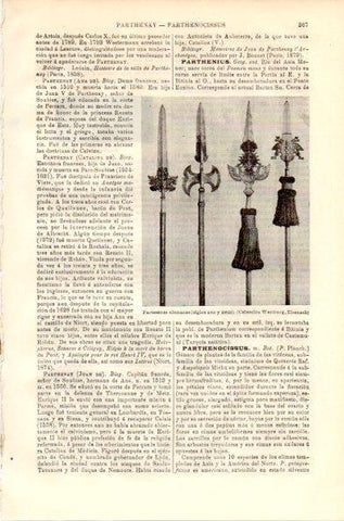 LAMINA V42361: Partesanas de Alemania