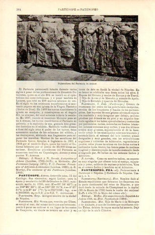 LAMINA V42359: Bajorrelieve del Partenon de Atenas