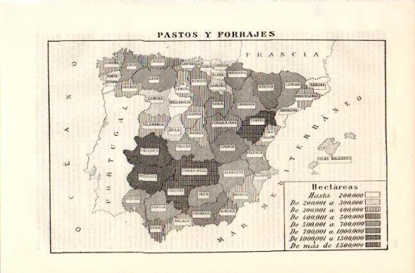 LAMINA V42393: Mapa de España de pastos y forrajes