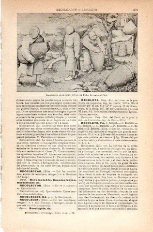 LAMINA V42281: Recoleccion de la miel por Brueghel el Viejo