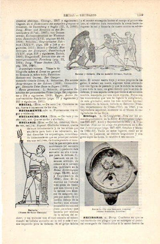 LAMINA V42275: Relicario de una lampara romana