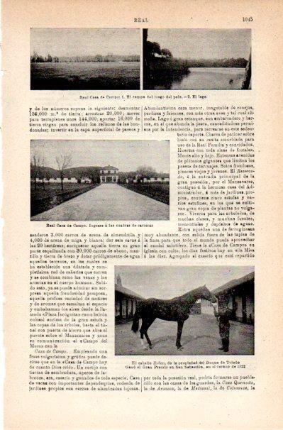 LAMINA V42273: El caballo Ruban