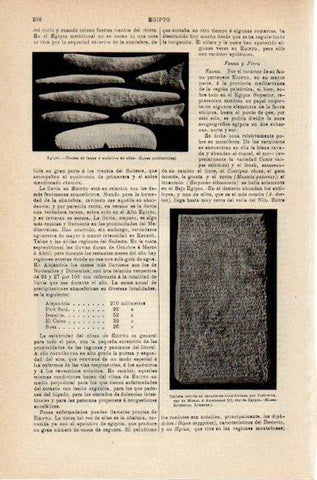 LAMINA V42005: Puntas de lanza epoca prehistorica, Egipto