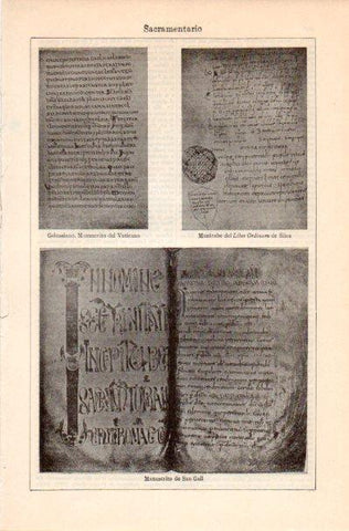 LAMINA V41907: Manuscritos de San Gall y del Vaticano