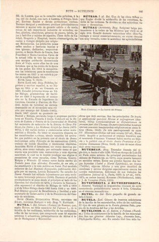 LAMINA V41892: Fuente del Fresno en Rute, Cordoba