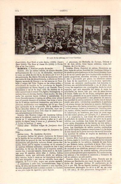 LAMINA V41903: El rapto de las sabinas por Lucas Cambiaso