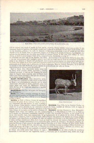 LAMINA V41932: Vista y castillo de San Luis en Salda Sidon