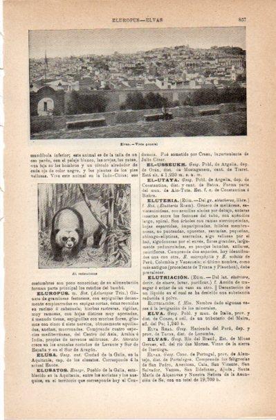 LAMINA V42107: Vista general de Elvas