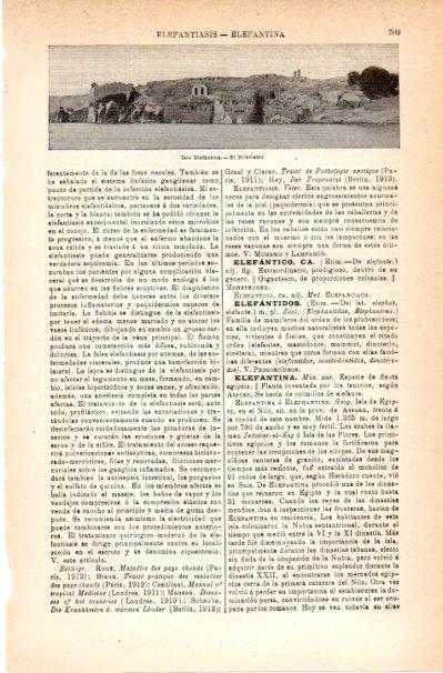 LAMINA V42085: El Nilometro en Isla Elefantina