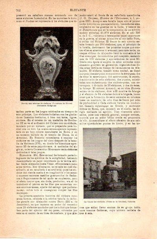 LAMINA V42083: La fuente del elefante en Catania