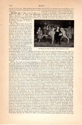 LAMINA V42127: Los enanos por van Kessel