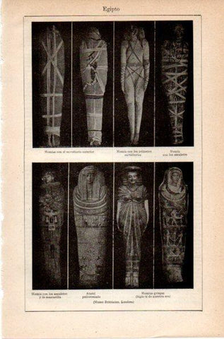 LAMINA V42039: Momias de Egipto, Museo Britanico